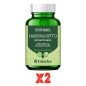 Pack De 2 Unidades Harpagofito 30 C Fitosol Ynsadiet Pack De 2 Unidades Harpagofito 30 C Fitosol Ynsadiet
