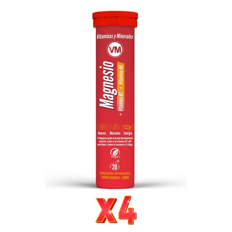 Pack De 4 Unidades Magnesio + Vitamina B2+Vitamina B6 20 Efervescentes Vm Ynsadiet