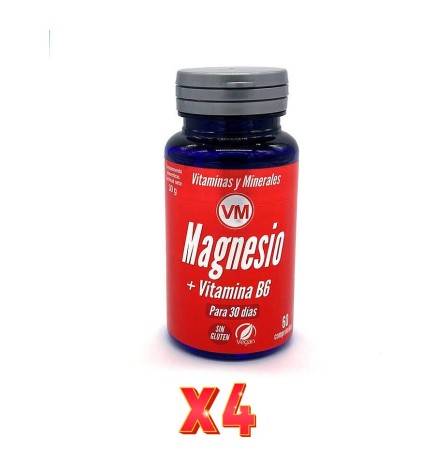 Pack De 4 Unidades Magnesio + Vitamina B6 60 Comp Vm Ynsadiet