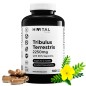 Tribulus Terrestris 2250mg 180 Cápsulas Veganas Hivital