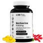 Berberina 1000mg 120 Cápsulas Veganas Hivital