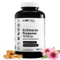 Equinacea Purpurea 7500 mg 180 Cápsulas Veganas Hivital