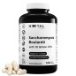 Saccharomyces Boulardii 120 Cápsulas Veganas Hivital Saccharomyces Boulardii 120 Cápsulas Veganas Hivital