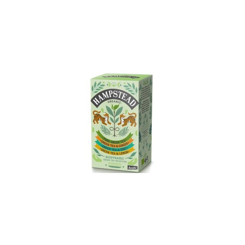 Green Tea Selection Pack Infusion 4 Sabores Demeter Hampstead