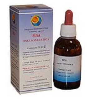 Msa Fagus Sylvatica Yemas 50 Ml Herboplanet