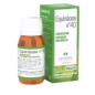 Echinacea Nº40 60 Ml Lehning Echinacea Nº40 60 Ml Lehning