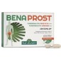 Benaprost 30Comp Naturando