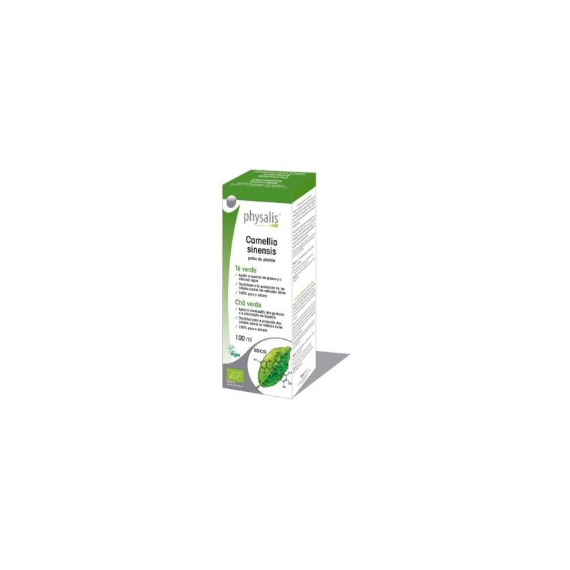 Te verde (camellia sinensis) extracto hidroalcoholico bio 100ml Physalis Te verde (camellia sinensis) extracto hidroalcoholico bio 100ml Physalis