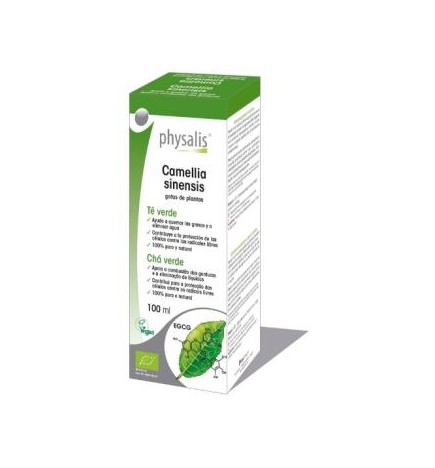 Te verde (camellia sinensis) extracto hidroalcoholico bio 100ml Physalis