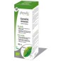 Te verde (camellia sinensis) extracto hidroalcoholico bio 100ml Physalis Te verde (camellia sinensis) extracto hidroalcoholico bio 100ml Physalis