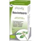 Aceite esencial de ravintsara bio 10ml Physalis