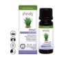 Vetiver Aceite Esencial 5 Ml Bio Physalis Vetiver Aceite Esencial 5 Ml Bio Physalis