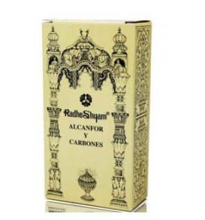 Incienso Alcanfor Y Carbones 100 Gramos Radhe Shyam