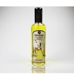 Ambientador Canela Naranja  100 Ml Radhe Shyam