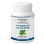 Gymnema 90 Capsulas Serpens