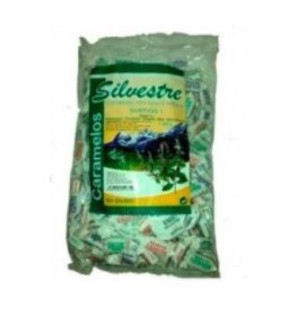 Caramelos Surtidos Nº1 Azucar De Caña 150 Gramos Silvestre