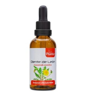 Ext.Diente Leon 50Ml Maese Herbario Artesania