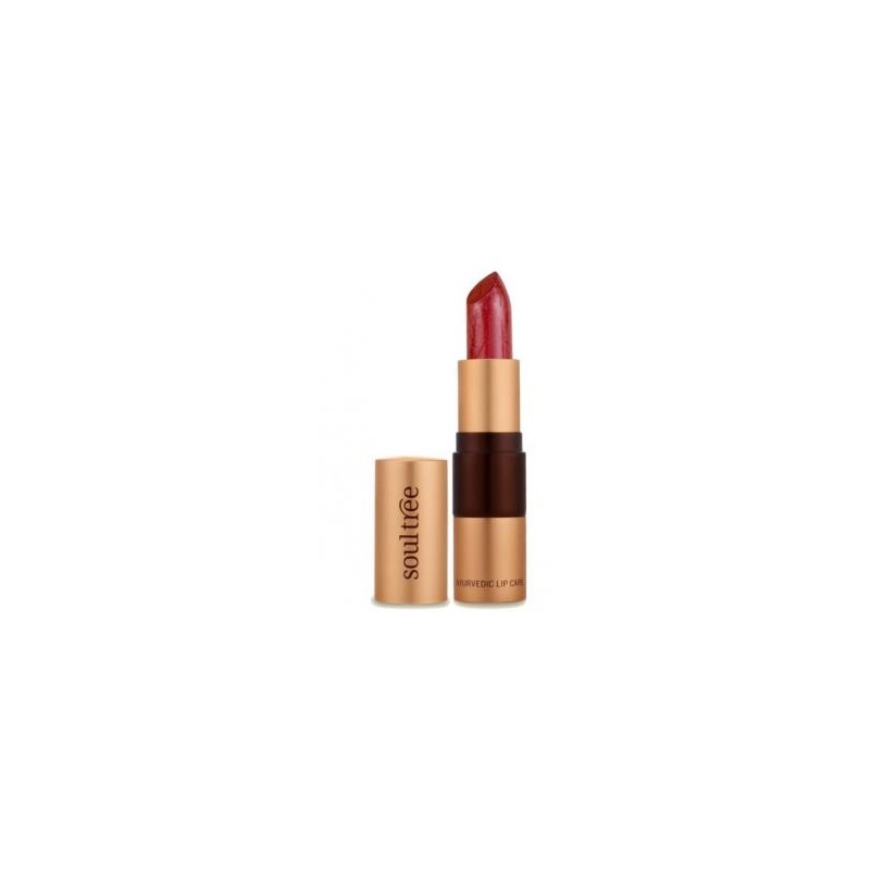 Barra De Labios 5810 Java Brown 4 Gr Soultree