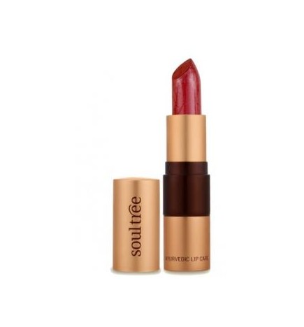 Barra De Labios 5810 Java Brown 4 Gr Soultree