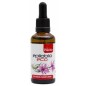 Ext. Epilobio Eco 50 Ml Artesania