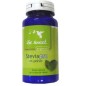 Stevia Polvo 50 Gramos Bio Be Sweet Stevia Polvo 50 Gramos Bio Be Sweet