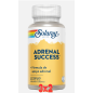 Pack de 3x2 unidades Adrenal Success 60 Caps Solaray Pack de 3x2 unidades Adrenal Success 60 Caps Solaray