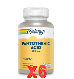 Pack 6 unidades Acido Pantothenic 500 Mg 100 Capsulas Solaray