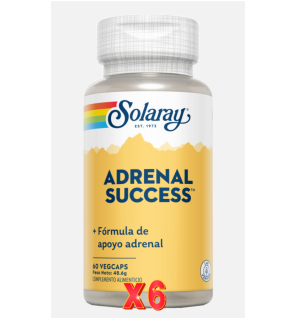 Pack 6 unidades Adrenal Success 60 Caps Solaray