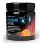 Artisix Colageno Marino 300 Gr Herbora