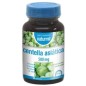 Centella Asiática 500 Mg 90 Comprimidos Dietmed Centella Asiática 500 Mg 90 Comprimidos Dietmed