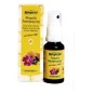 Spray Propolis 99 Natural 20 Ml Bergland Spray Propolis 99 Natural 20 Ml Bergland