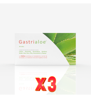 Pack de 3 unidades Gastrialoe 20Amp. Margan