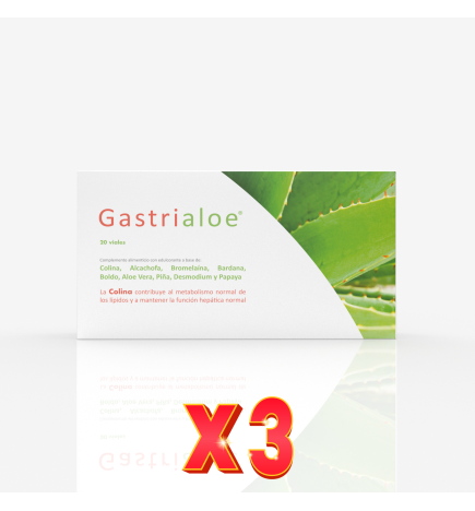 Pack de 3 unidades Gastrialoe 20Amp. Margan