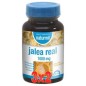 Pack de 3 unidades Jalea Real 1000 Mg 60 Perlas Dietmed Pack de 3 unidades Jalea Real 1000 Mg 60 Perlas Dietmed