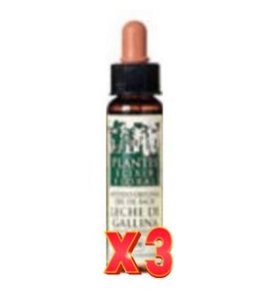 Pack de 3 unidades Wild Rose Plantis Flores De Bach Nº 37 10 Ml Artesania