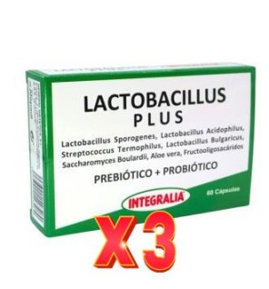 Pack de 3 unidades Lactobacillus Plus 60 Capsulas Integralia