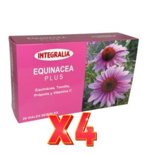 Pack de 4 unidades Echinacea Plus 20Viales Integralia