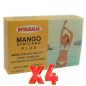 Pack de 4 unidades Mango Africano Plus 60 Capsulas Integralia Pack de 4 unidades Mango Africano Plus 60 Capsulas Integralia