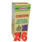 Pack 6 unidades Constifin S/A Jarabe 500 Ml Integralia Pack 6 unidades Constifin S/A Jarabe 500 Ml Integralia