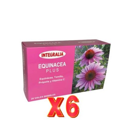 Pack 6 unidades Echinacea Plus 20Viales Integralia