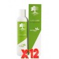 Pack 12 uds Loción Capilar Con Tepezcohuite 250 Ml De Nutrinat Pack 12 uds Loción Capilar Con Tepezcohuite 250 Ml De Nutrinat