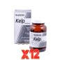 Pack 12 uds Kelp 240 Comprimidos De Health Aid Pack 12 uds Kelp 240 Comprimidos De Health Aid