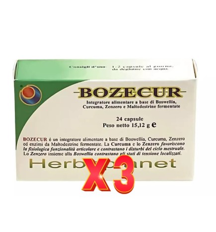 Pack de 3 unidades Bozecur 24 Capsulas