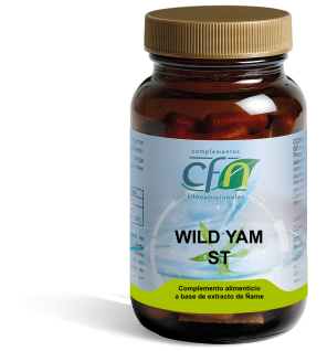 Wild Yam St 500 Mg 60 Capsulas Cfn