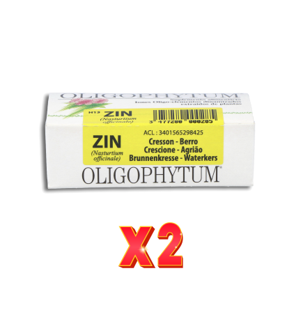 Pack de 2 unidades Zinc Gluconato 90 Capsulas Cfn