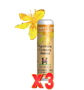 Pack de 3 unidades Flower Complex Nº4 - Desmotivacion Holistica