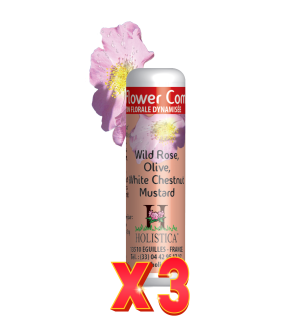 Pack de 3 unidades Flower Complex Nº5 - Miedos Holistica