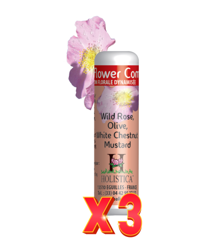 Pack de 3 unidades Flower Complex Nº5 - Miedos Holistica