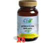 Pack de 6 unidades Bifidusflora 5000 Polvo 100 Gr Cfn