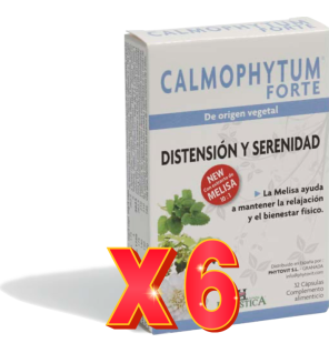 Pack de 6 unidades Calmophytum Forte 32 Capsulas Holistica